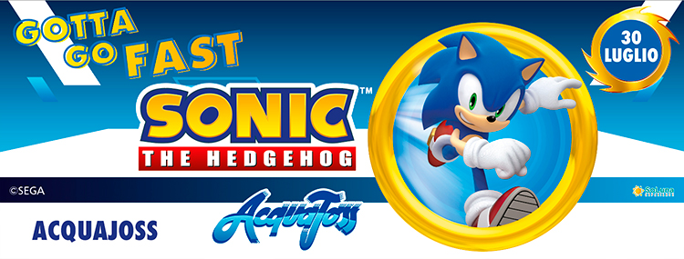 SONIC EXPERIENCE